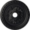 Ekena Millwork Palmetto Ceiling Medallion (Fits Canopies up to 3 5/8"), 23 5/8"OD x 3 5/8"ID x 1 5/8"P, Steel Gray CM23PMSGS - alternate 1